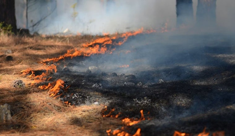 Smoky Makaha Brush Fire Near Keaau Beach Park Triggers Night Alarm