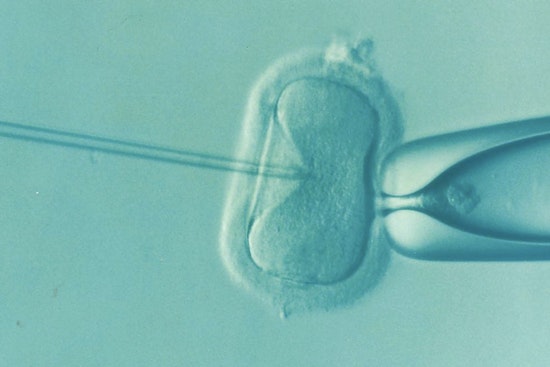 Smoky Skies, Empty Cribs: Wildfire Haze Tied to IVF Slump at New York Clinic