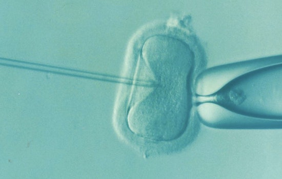 Smoky Skies, Empty Cribs: Wildfire Haze Tied to IVF Slump at New York Clinic