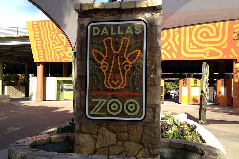 Sold-Out Dallas Zoo Dollar Day Brings Traffic Headaches And Transit Hacks