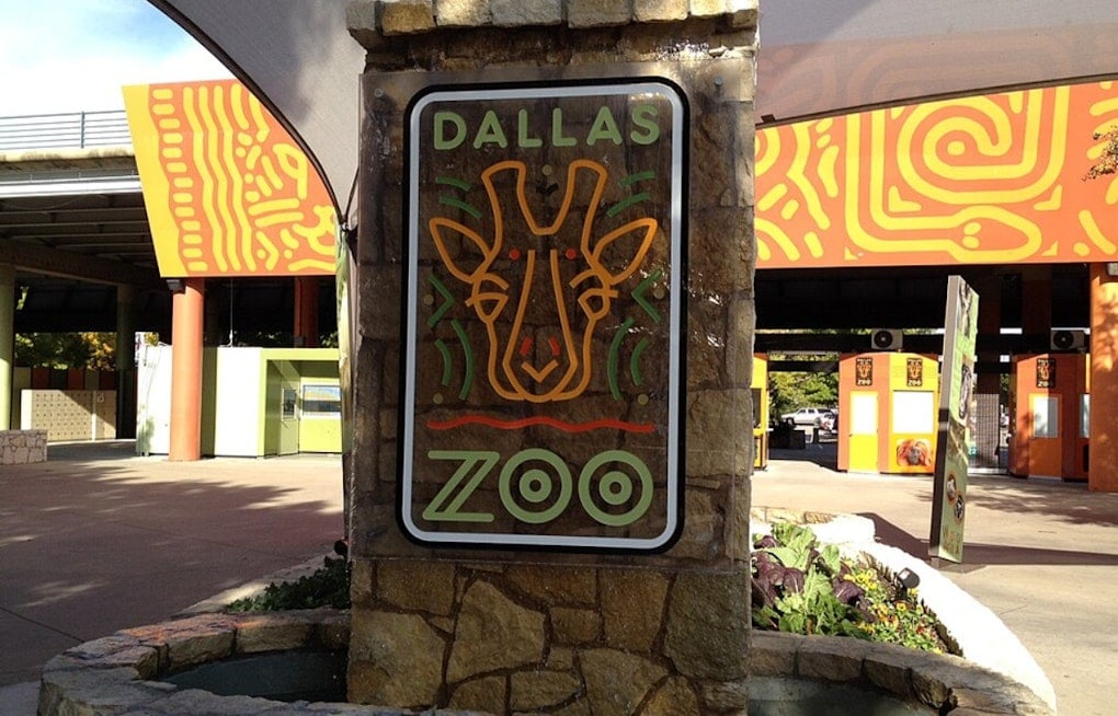 Sold-Out Dallas Zoo Dollar Day Brings Traffic Headaches And Transit Hacks