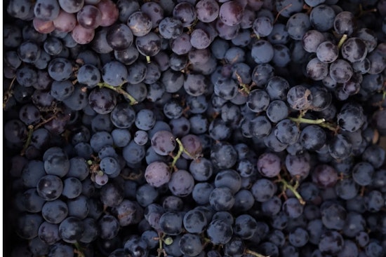 Sonoma, Napa Grape Rush: Harvest Jumps The Gun As Yields Shrink