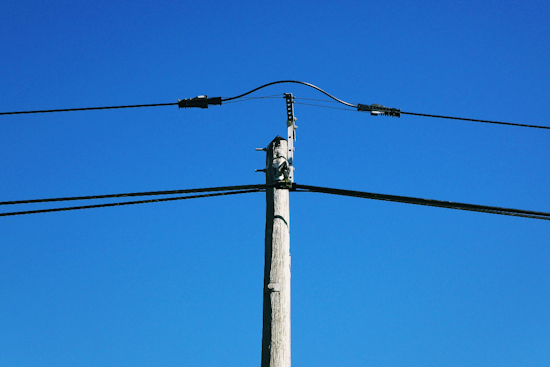 South Fayette Utility Repairs After Dozens Of Dead Birds