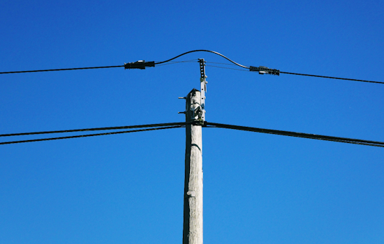 South Fayette Utility Repairs After Dozens Of Dead Birds