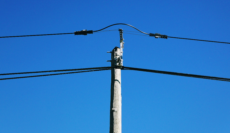 South Fayette Utility Repairs After Dozens Of Dead Birds