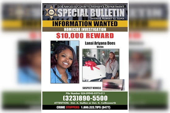 South L.A. Mom Refuses To Let Lanai Dees' Killer Disappear