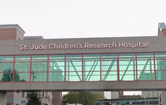 St. Jude Snags $28.5M Windfall To Fast-Track Gene-Editing Trials In Memphis