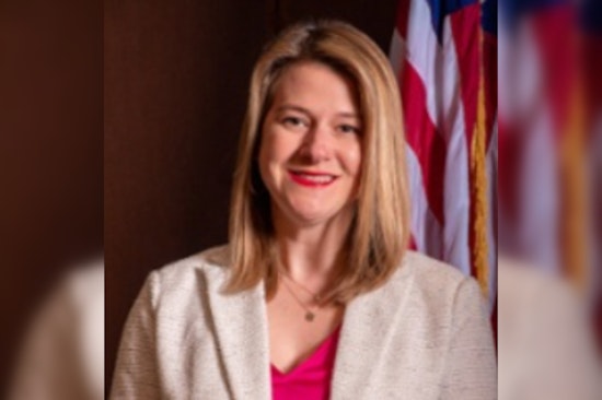 St. Louis County Councilwoman In Hot Seat As Cops Probe Vanishing Campaign Signs