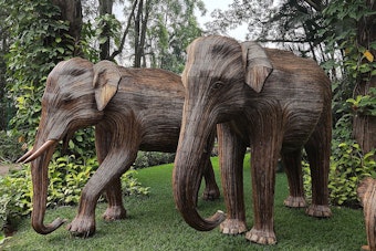 Stampede on Comm Ave: 100 Giant Elephants Invade Back Bay
