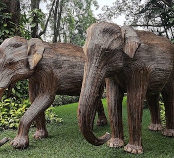 Stampede on Comm Ave: 100 Giant Elephants Invade Back Bay