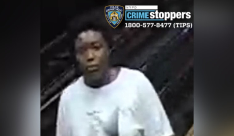 Subway Shove At 14th Street: NYPD Hunts Suspect Who Hurt 78-Year-Old