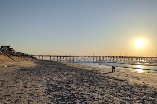 Surf City’s ‘Ghost Orbs’ Over The Beach Turn Out To Be Salty Sparks