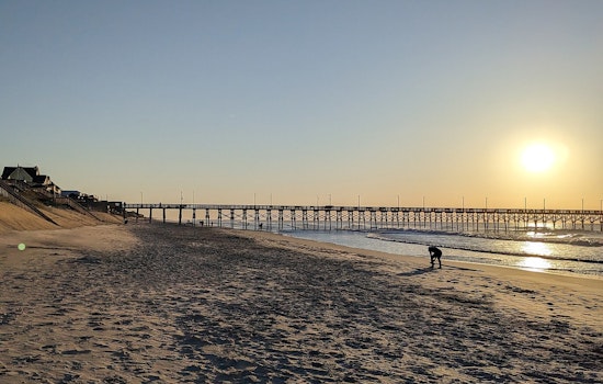 Surf City’s ‘Ghost Orbs’ Over The Beach Turn Out To Be Salty Sparks