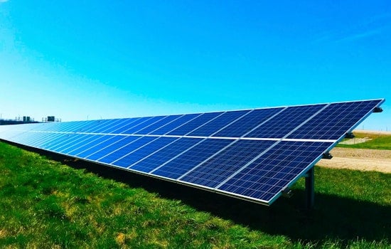 Swarm Of Solar ‘Beehives’ Set To Rescue Western North Carolina In The Next Big Storm