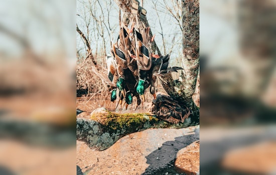 Sweetwater Duck Hunters Challenge City’s Firearm Ban In Court