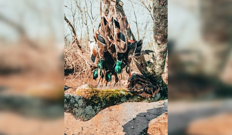 Sweetwater Duck Hunters Challenge City’s Firearm Ban In Court