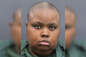 Tampa Deputies Say Starving Dogs Found In Apartment Led To Felony Bust