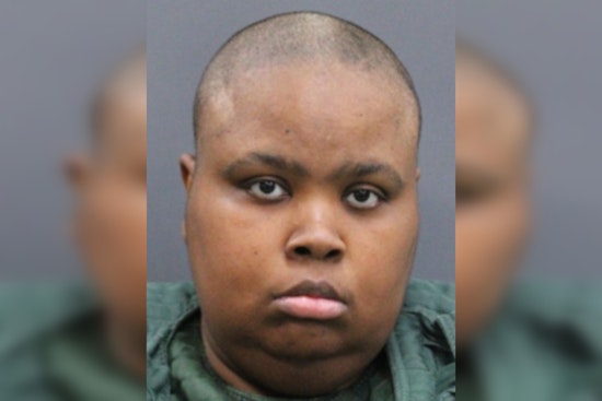 Tampa Deputies Say Starving Dogs Found In Apartment Led To Felony Bust