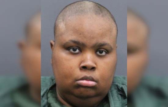 Tampa Deputies Say Starving Dogs Found In Apartment Led To Felony Bust