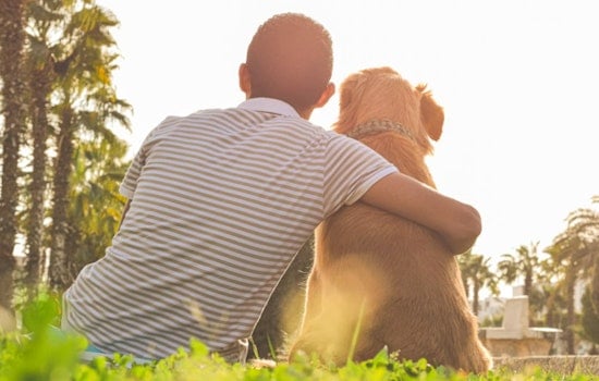 Tampa Pain Clinic Slapped With $115K Tab After Booting Veteran’s Service Dog