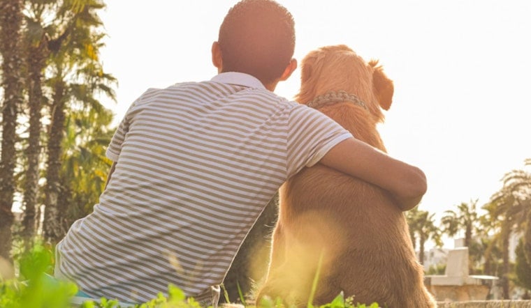 Tampa Pain Clinic Slapped With $115K Tab After Booting Veteran’s Service Dog