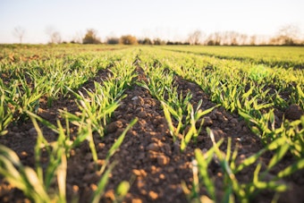 Tariff Time-Out Has Oklahoma Farmers Banking On Cheaper Fertilizer