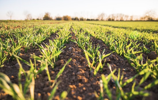 Tariff Time-Out Has Oklahoma Farmers Banking On Cheaper Fertilizer