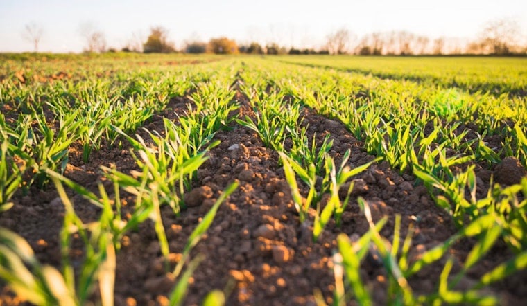 Tariff Time-Out Has Oklahoma Farmers Banking On Cheaper Fertilizer