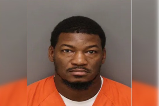 Tarpon Springs Coach Arrested in Case Involving 14-Year-Old