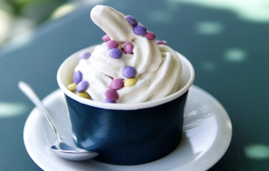 Tart Greek Fro-Yo Shop Shakes Up Forest Hills