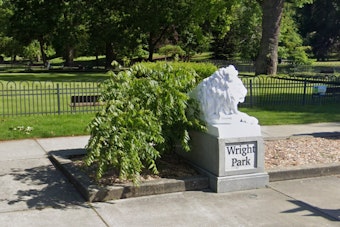 Teen Takes Bullet To Leg In Murky Wright Park Shooting