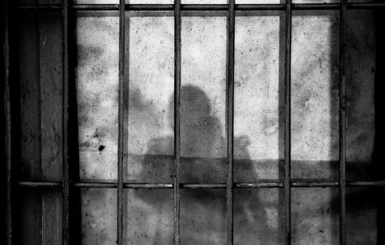 Tempe Attorney Busted In Alleged Backyard Peeping Case