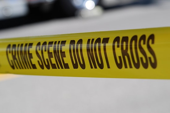 Temperance Man Found Dead Along Telegraph Road After Suspected Hit-and-Run