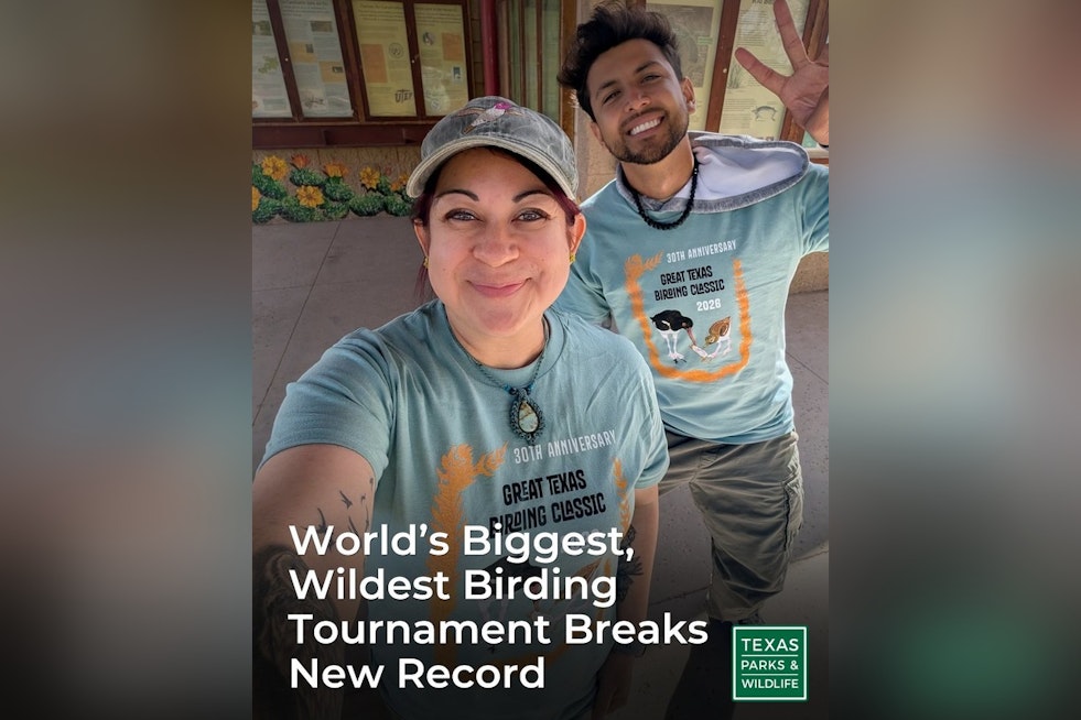 Texas Birding Classic Breaks Records, Sends $85,000 To Conservation