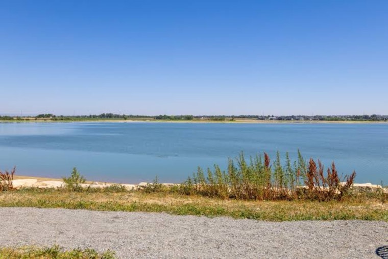 Timnath Anglers Get ‘Catch It or Lose It’ Green Light as Reservoir Shrinks