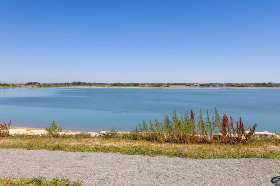 Timnath Anglers Get ‘Catch It or Lose It’ Green Light as Reservoir Shrinks