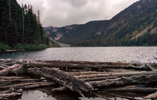 Tiny Rain, Big Trouble As Raleigh Targets Water Hogs At Falls Lake