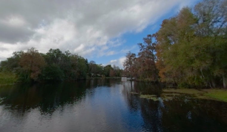 Tire Chemical Found In Hillsborough River After Rains