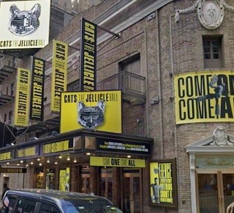 Tony-Winning Cats Revival Scratched From Broadway After Four-Month Run