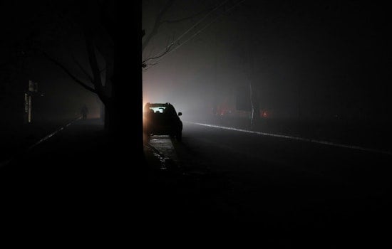 Toppled Tree Plunges 25,000 Durham Residents Into Pre-Dawn Blackout