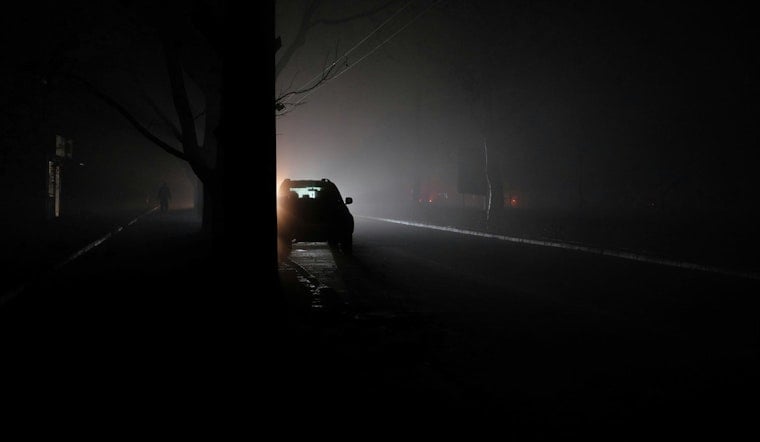 Toppled Tree Plunges 25,000 Durham Residents Into Pre-Dawn Blackout
