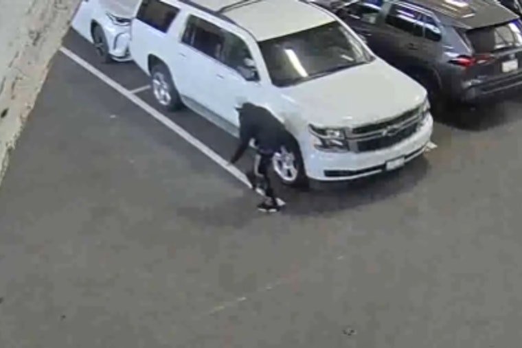 Tourist Wharf Car Break Ins End With Hayward Highway Bust