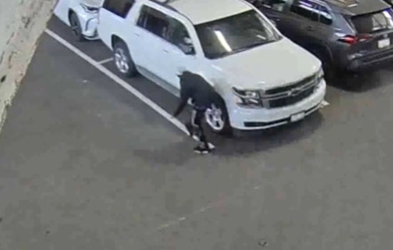 Tourist Wharf Car Break Ins End With Hayward Highway Bust