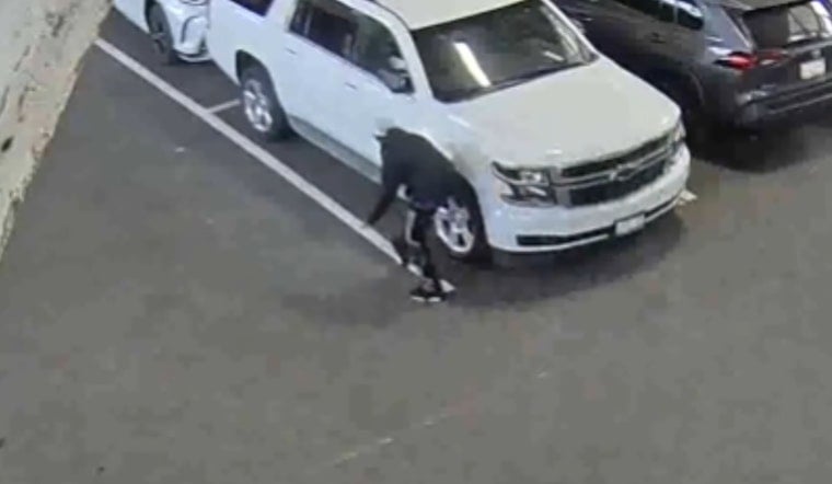 Tourist Wharf Car Break Ins End With Hayward Highway Bust
