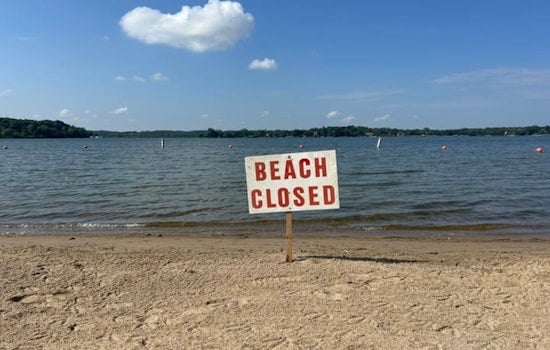 Toxic Algae Shuts Down Pleasant Lake Beach as North Oaks Orders Emergency Study
