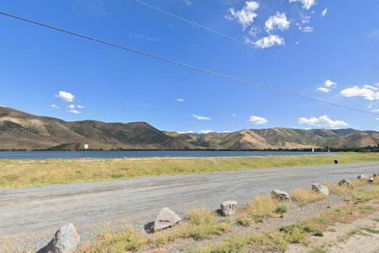 Toxic Scum Locks Down Mantua Reservoir, Puts Pets In Peril