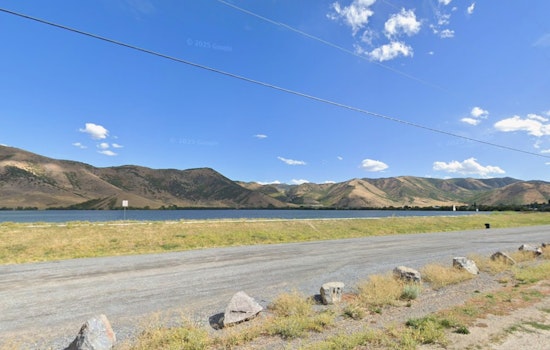 Toxic Scum Locks Down Mantua Reservoir, Puts Pets In Peril