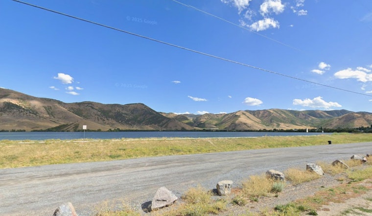 Toxic Scum Locks Down Mantua Reservoir, Puts Pets In Peril
