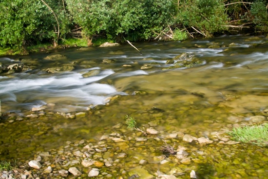 Toxic Tides: Pesticide Cocktail Creeps Through Midwest Rivers