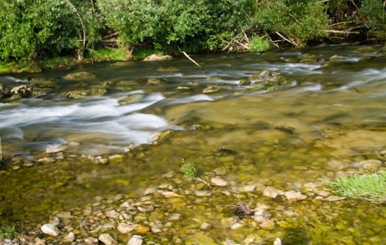 Toxic Tides: Pesticide Cocktail Creeps Through Midwest Rivers